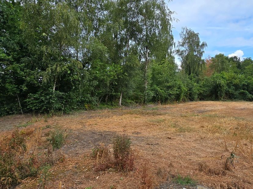 Voor een afspraak bel Kim 0473 72 33 62.<br />
<br />
2684ca. waarvan 649ca. bouwgrond voor HOB met zicht op Het Schulens meer.<br />
Omgevingsvergunn