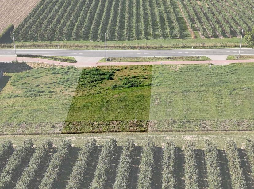 Centraal gelegen bouwgrond op een knap perceel van 10a04ca<br />
<br />
Omgeving:<br />
+ Vlotte en snelle bereikbaarheid door de verbindingsweg<br