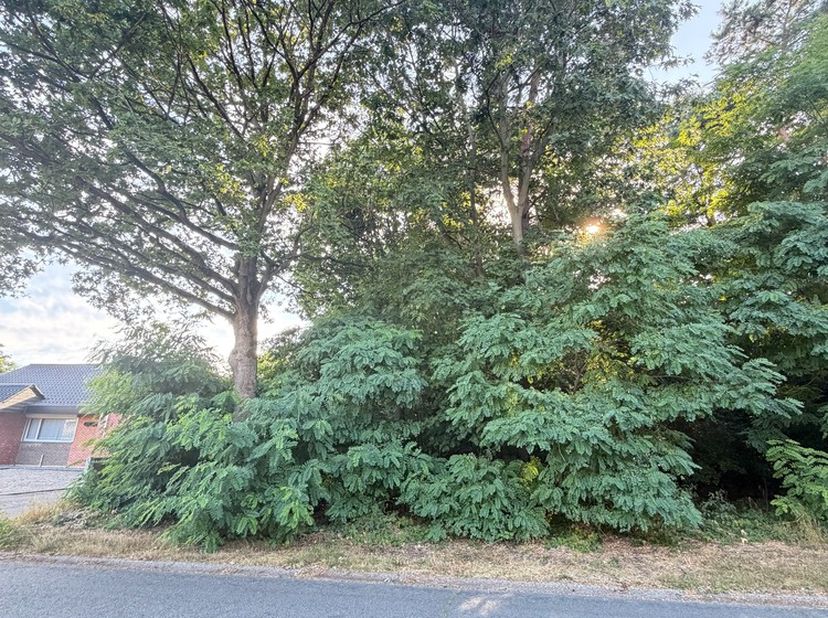 Terrain à vendre
                    à 3971 Heppen
