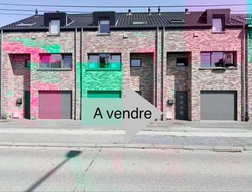                                         Maison à vendre à Saint-Ghislain, € 295.000
