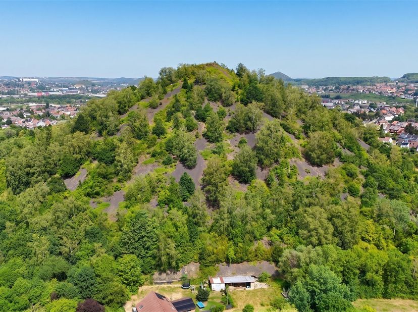 Een bijzondere aanbieding! Ontdek deze steenberg met een oppervlakte van ongeveer 10 hectare, gelegen in Couillet, in een rustige en groene omgeving.