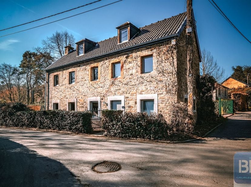 ***** OPTION ***** <br />
<br />
Au calme dans le hameau très prisé d'Amostrenne, proche du parc du Mary, une maison de caractère en pierres du pays