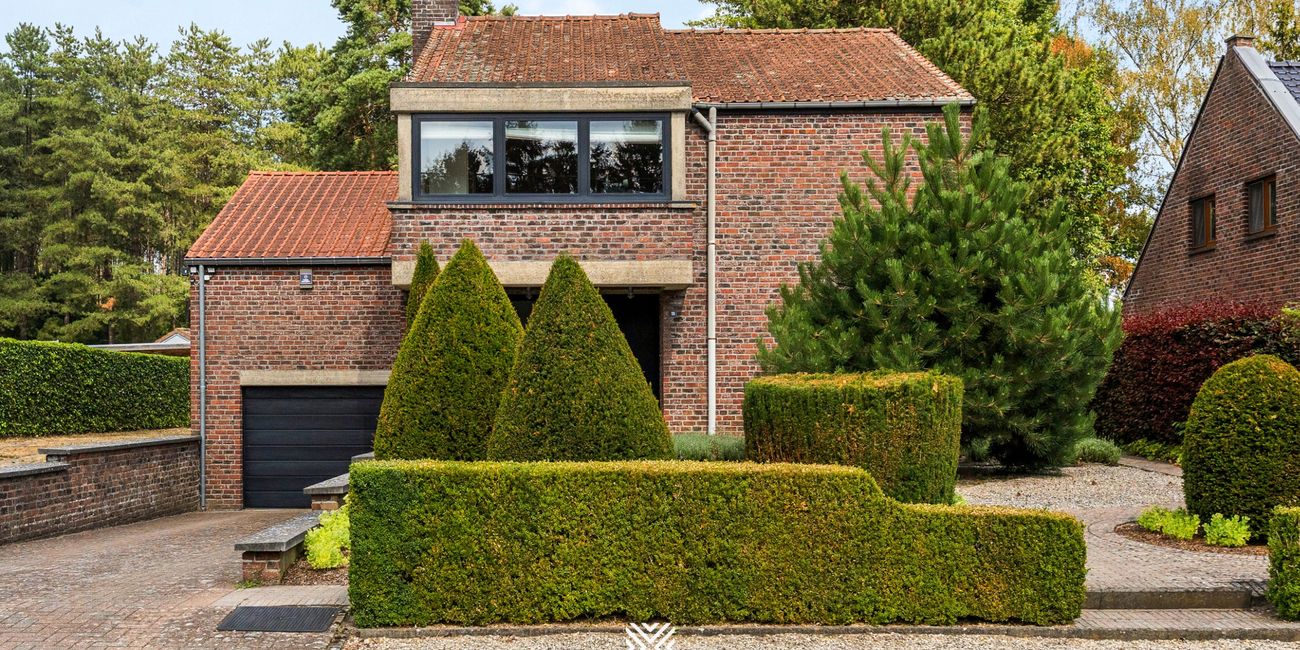 Witte weg 19