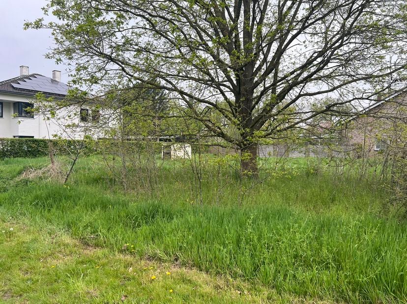 Exclusieve bouwgrond van 833 m² voor open bebouwing inde Koetestraat Leut (Maasmechelen) – nabij De Dreef en het Kasteel Vilain XIIII.  In het charman