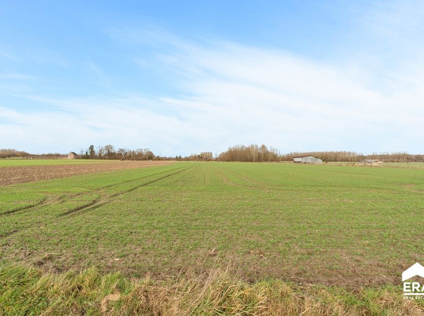 Terrain à vendre
                    à 3350 Drieslinter