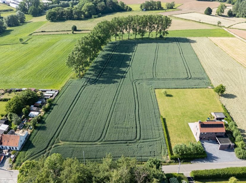 Situés dans le quartier recherché de Beaufaux à Ellezelles, ces terrains à bâtir exceptionnels offrent de nombreuses possibilités. L’ensemble comprend
