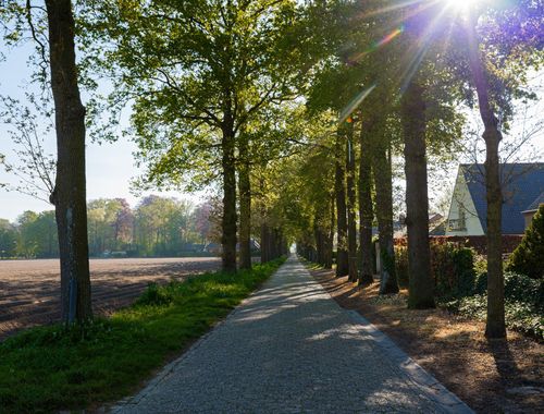                                         Woning te koop in Ronsele, € 775.000

