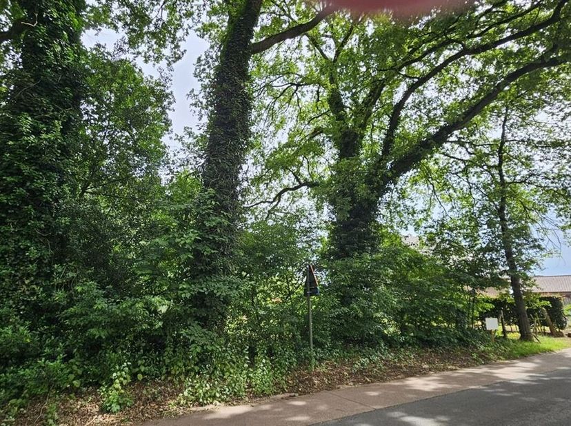 Bouwgrond voor open bebouwing op gunstige ligging in Terboekt (Genk)<br />
Bent u op zoek naar een rustige woonomgeving midden in het groen, zonder in