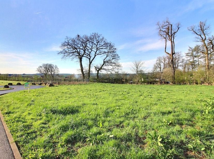 Iveldingen - Amselweg, lot 12: Ben je op zoek naar een goed georiënteerd bouwperceel in een rustige woonwijk in een landelijke omgeving? Dit prachtige
