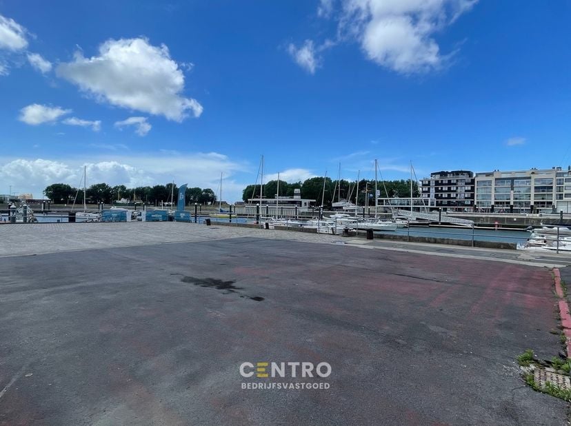 Bien professionnel à louer
                    à 8380 Zeebrugge