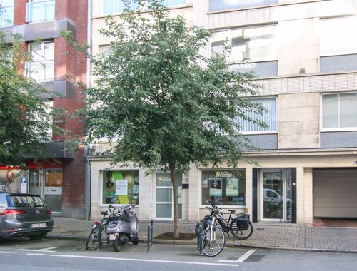                                         Rez-de-chaussée commercial à vendre à Kortrijk, € 199.000
