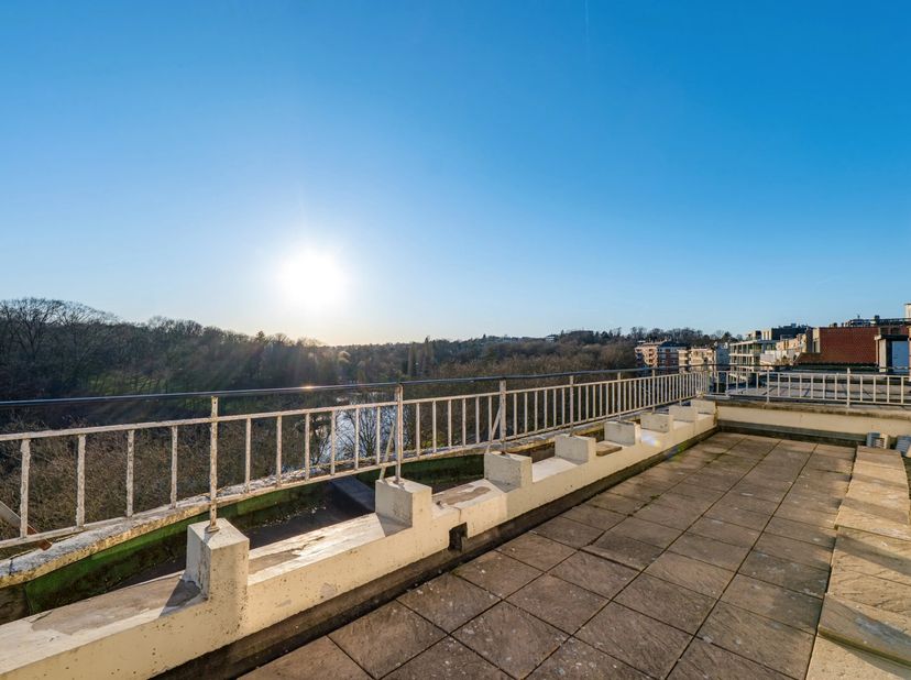 Victoire-Junot biedt u dit prachtige duplex penthouse voor renovatie, met een adembenemend uitzicht over het Woluwepark en in de onmiddellijke nabijhe