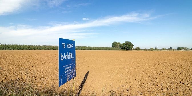 Grond te koop in Smisweg, 3800 Brustem