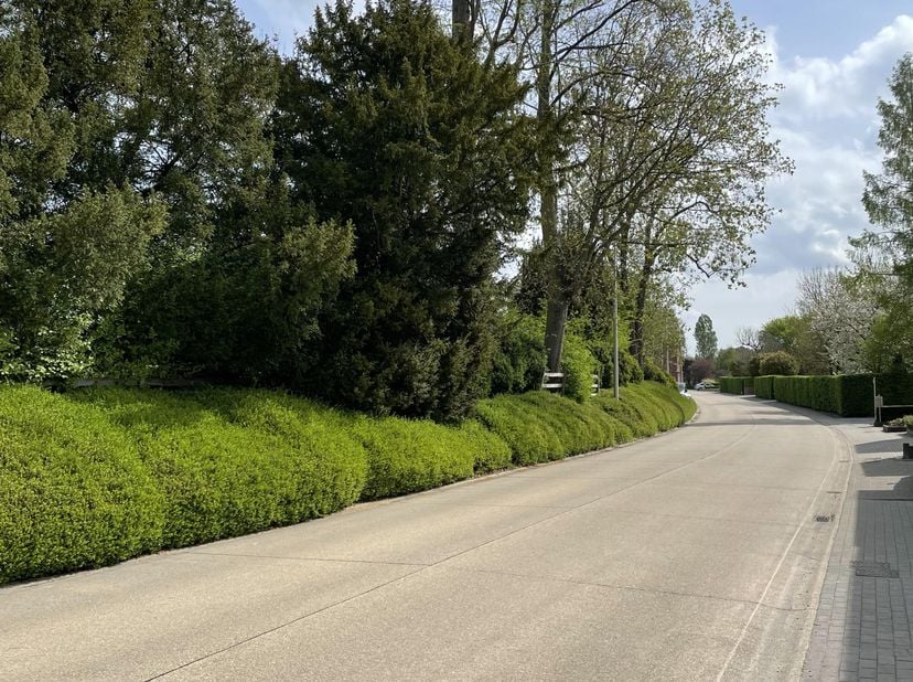 Grond te koop in Appeystraat 5,
                    3830 Wellen