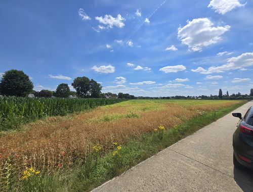                                         Landbouwgrond te koop in Kampenhout, € 19.000
