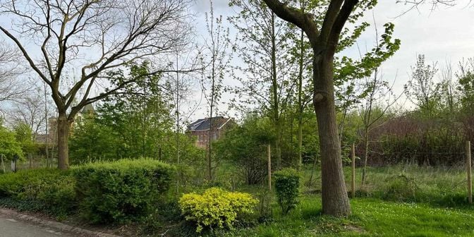 Terrain à vendre à Ambiorixstraat 1, 3700 Tongeren