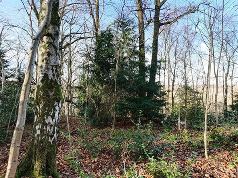 OPTION Très beau terrain situé dans un beau quartier résidentiel.<br />
Très grande contenance de 6890 m².<br />
Il est à l'état de terrain partiellem