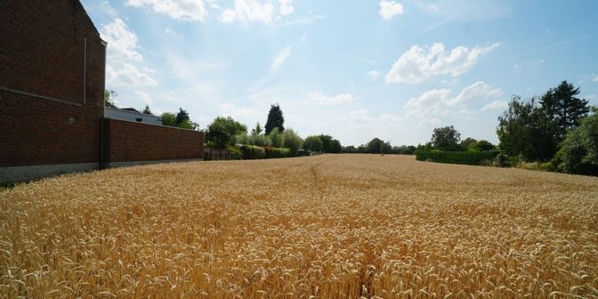 Terrain à vendre à Heidebergstraat 190, 3010 Kessel-Lo