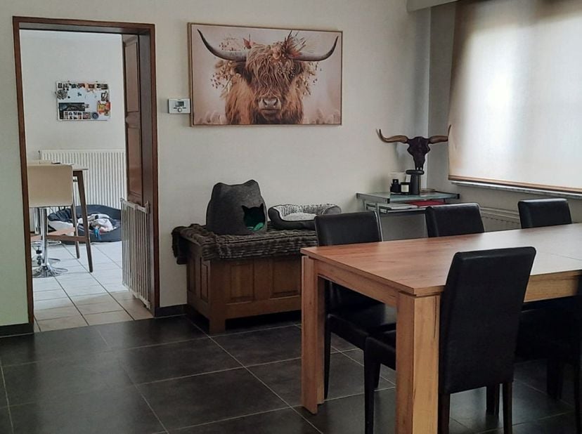 Maison à louer
                    à 3680 Neeroeteren