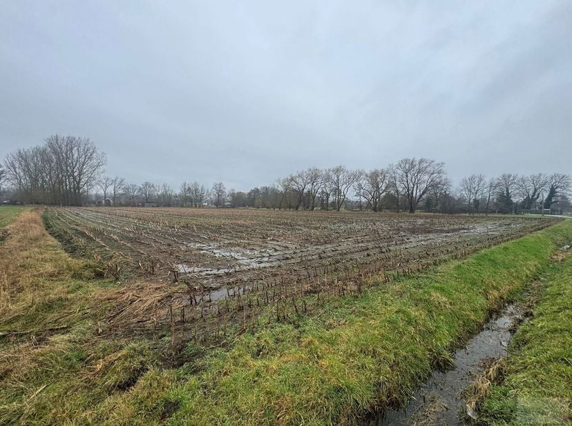 Grond te koop in Steenstraat,
                    2580 Beerzel