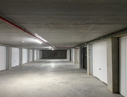                            in
