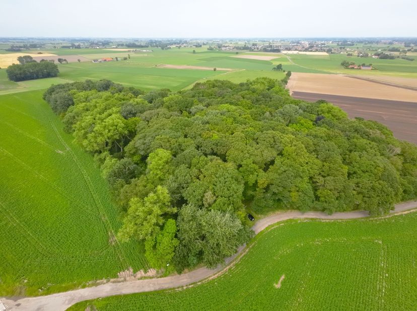 Tussen Vladslo en Leke, nabij Diksmuide, bieden wij u dit uitzonderlijke stukje natuurschoon aan. Dit perceel bos, gelegen in natuurgebied, meet een t