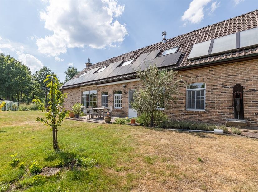 Aan de Reppelsebaan in Zichem geniet deze statige en karaktervolle woning van een uitzonderlijke ligging op een volledig omheind perceel van maar lief