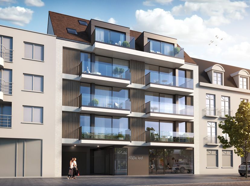 Zoekt u een parkeerplaats of garage in het centrum van Blankenberge? Dan kunnen deze staanplaatsen of garages u een oplossing bieden. Gelegen in de ni