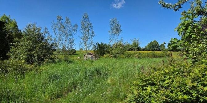 Terrain à vendre à Rue de Lorcy 53, 6870 Arville