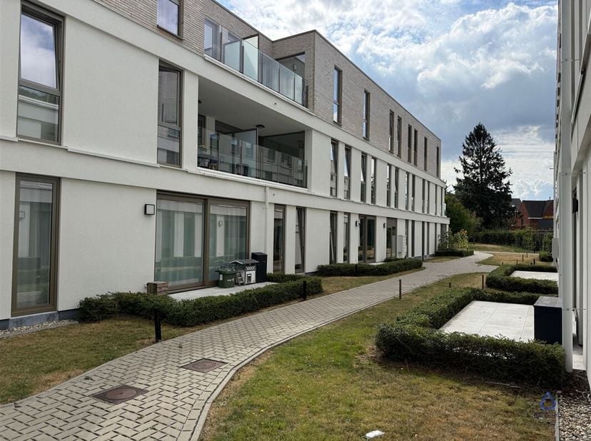 Wonen in Molendreef betekent genieten van een serene en groene omgeving aangepast aan de diverse gezinssamenstellingen. Je hebt hier tal van voorzieni