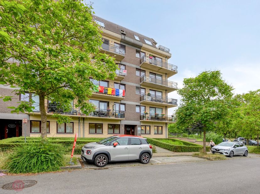Ruim en lichtrijk appartement met twee terrassen en uitzicht op het Vijverpark aan de rand van Anderlecht