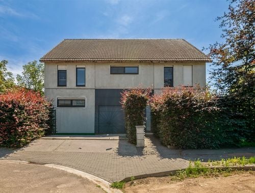                                         Maison à vendre à Blaasveld, € 895.000
