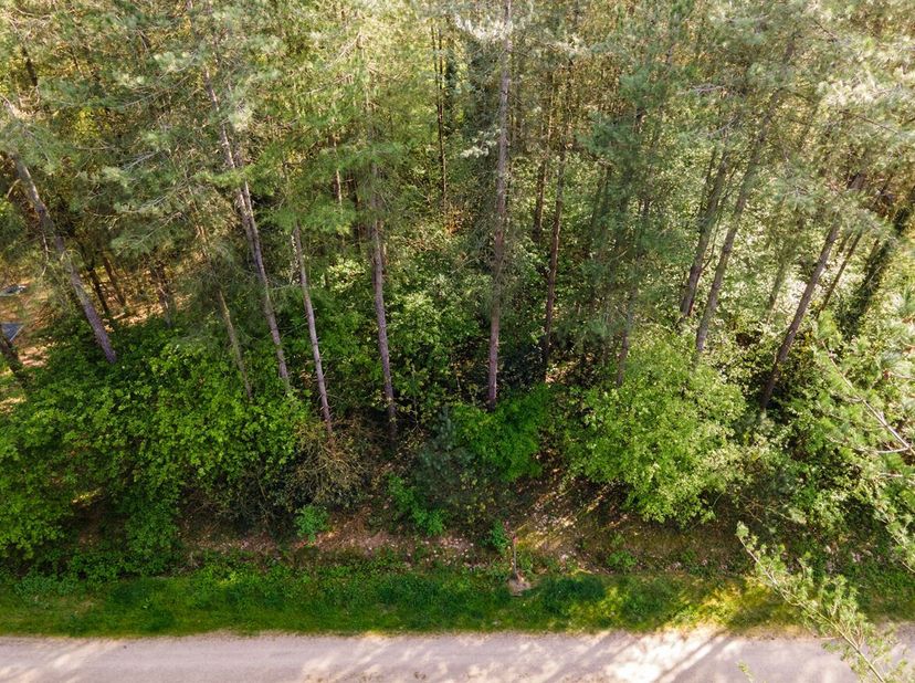 Prachtig gelegen recreatiegrond met verkavelingsvergunning te Wechelderzande<br />
In een uitzonderlijk groene en rustige omgeving in Wechelderzande b