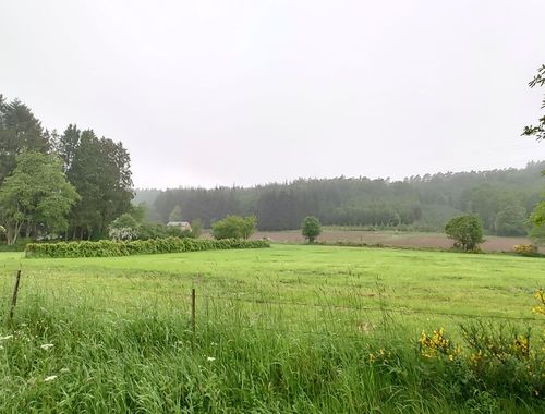                                         Terrain à bâtir à vendre à Chevron, € 115.000

