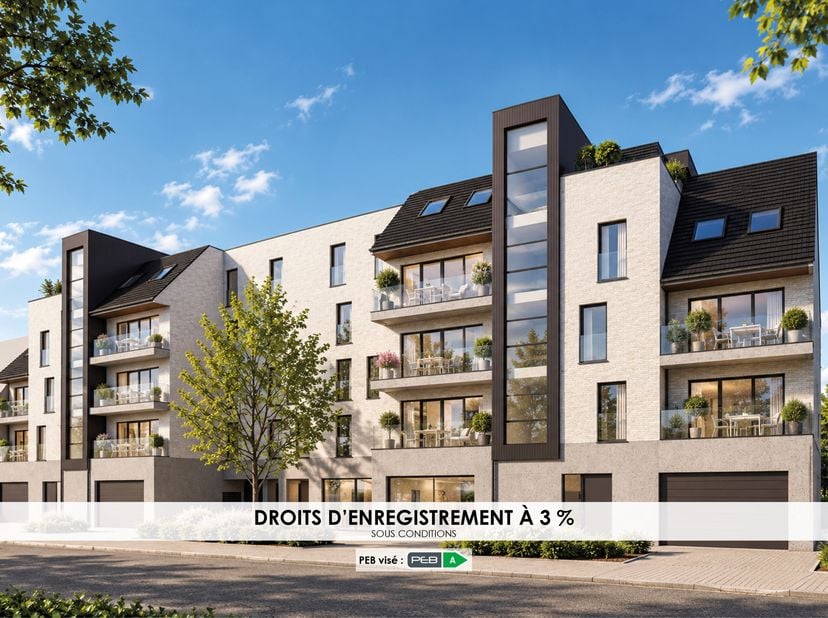 Projet à Rue de la Procession,
                    7780 Comines