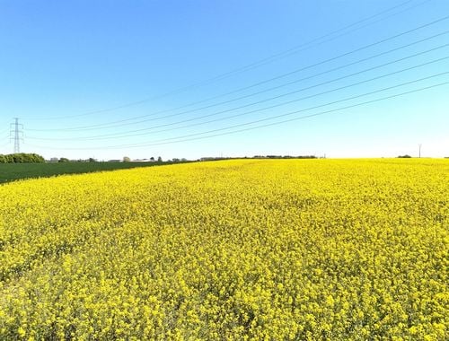                                         Landbouwgrond te koop in Coutisse, € 450.000
