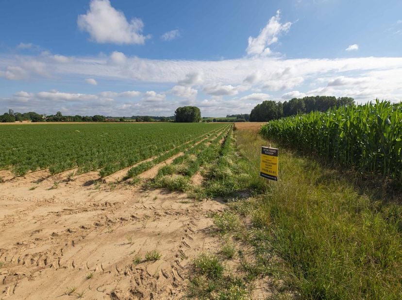 PERCELEN BOUWLAND <br />
<br />
GEMEENTE LUBBEEK - tweede afdeling - Binkom - <br />
<br />
1) Een perceel bouwland ter plaatse genaamd "Bramersveld",