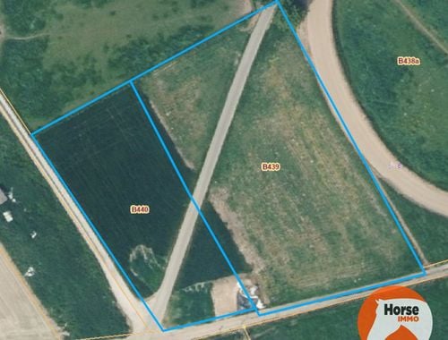                                         Weide te koop in Haaltert, € 55.000
