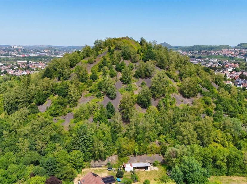 Een bijzondere aanbieding! Ontdek deze steenberg met een oppervlakte van ongeveer 10 hectare, gelegen in Couillet, in een rustige en groene omgeving.