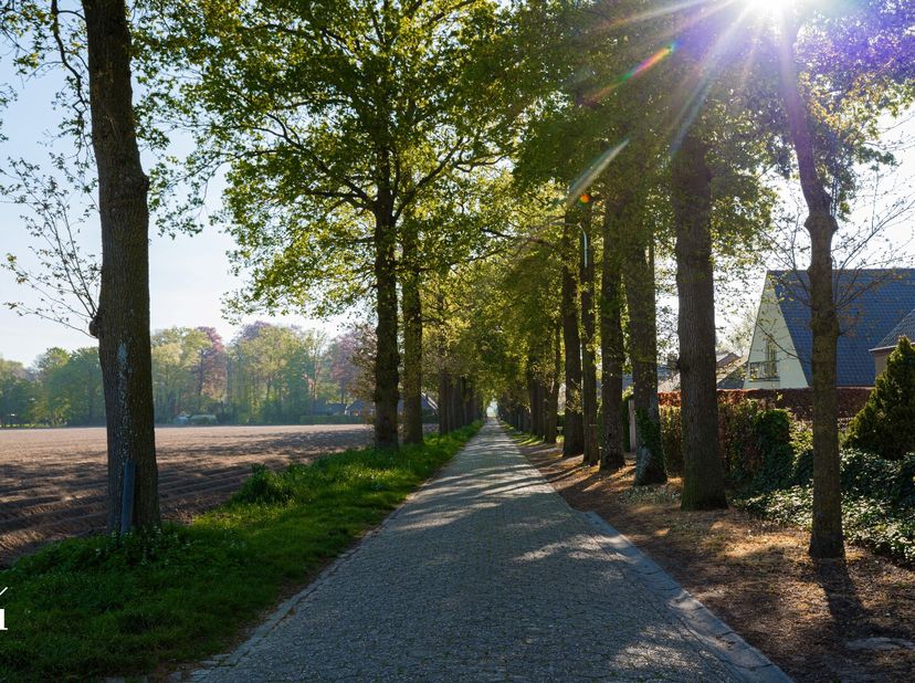Voor meer informatie of een bezoek via Gilles op gilles@irres.be of 0470 046 650.<br />
In het landelijke Zomergem, verscholen in een autoluwe straat