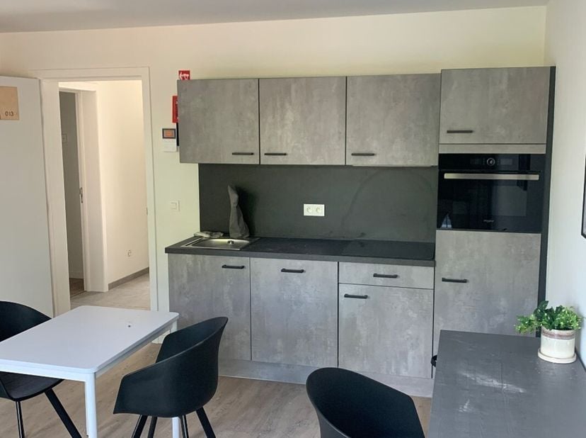 Deze prachtige bemeubelde studio is gelegen in de bruisende studentenstad Leuven, in residentie ALBATROS. De studio is onlangs gerenoveerd in 2022 en