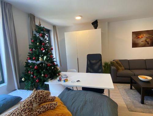                                         Studio met slaaphoek te huur in Leuven, € 815
