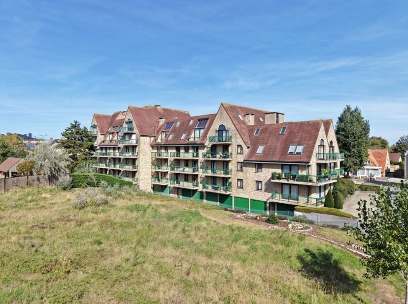 Appartement te koop in Leopold II Laan 163,
                    8670 Oostduinkerke