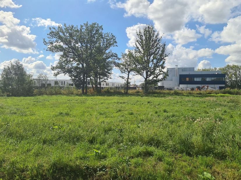 Grond te koop in Liersesteenweg 215,
                    2220 Heist-op-den-Berg