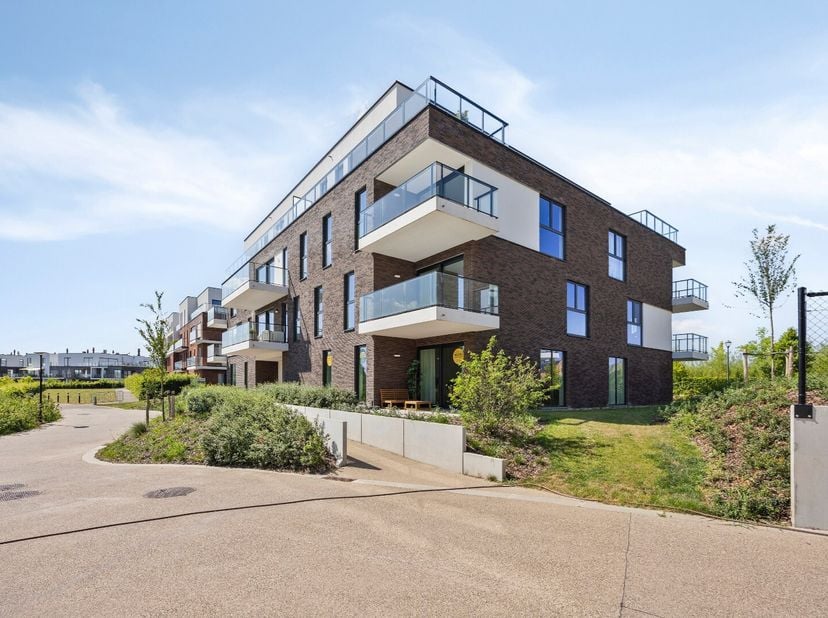 Appartement à vendre
                    à 9600 Renaix