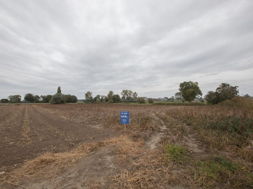 HOOILAND &amp; WEILAND - <br />
<br />
Volgende 4 perceelnummers worden samen verkocht voor de prijs van € 85.000,00: <br />
- 36007 INGELMUNSTER - BEELSH