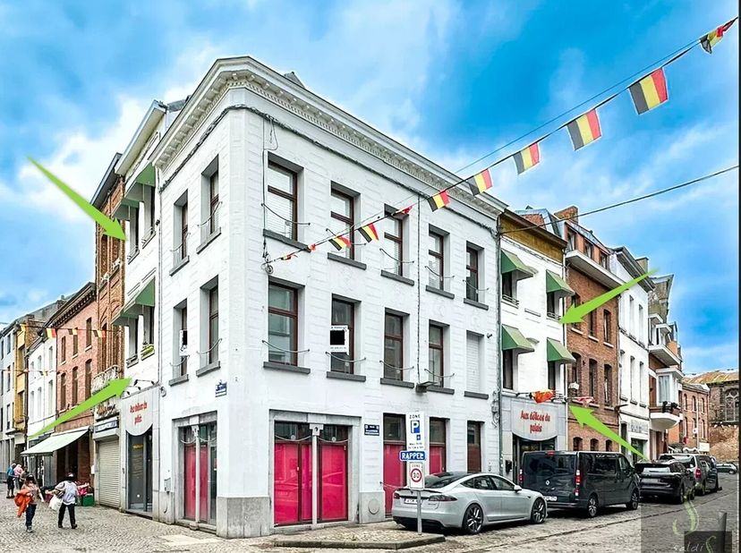 Bedrijfsvastgoed te koop
                    in 7130 Binche