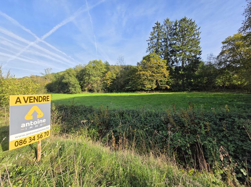 Grond te koop in Rue de l'Aisne 37,
                    6997 Mormont
