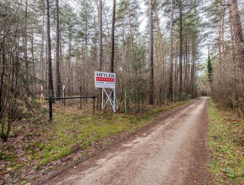                                         Bos te koop in Kasterlee, € 15.000
