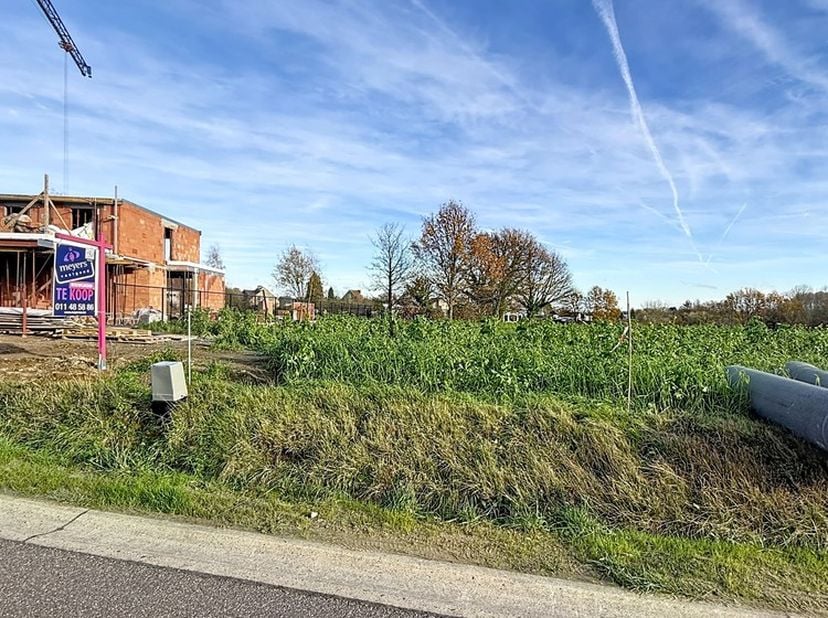 Terrain à vendre
                    à 3590 Diepenbeek